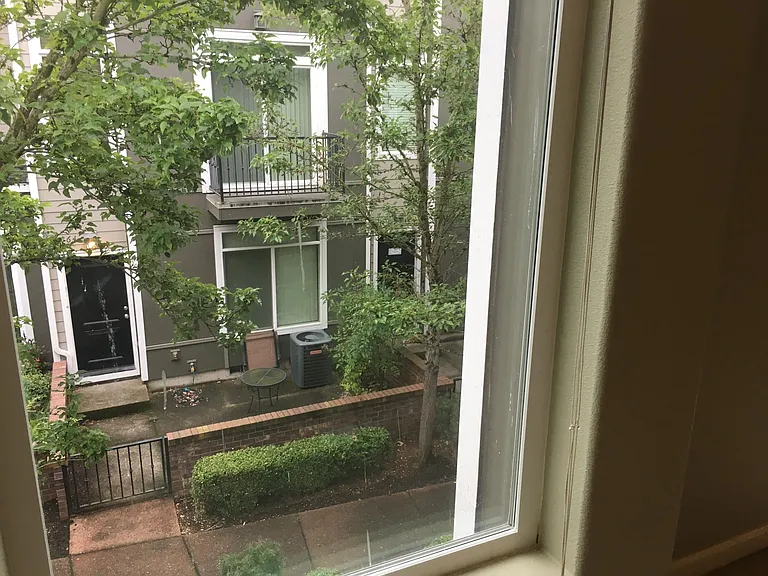 View from living room
