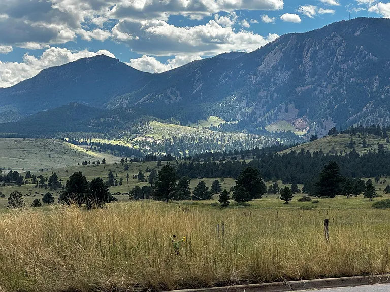 South area view
