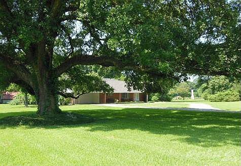 OUTSIDE WITH TREE