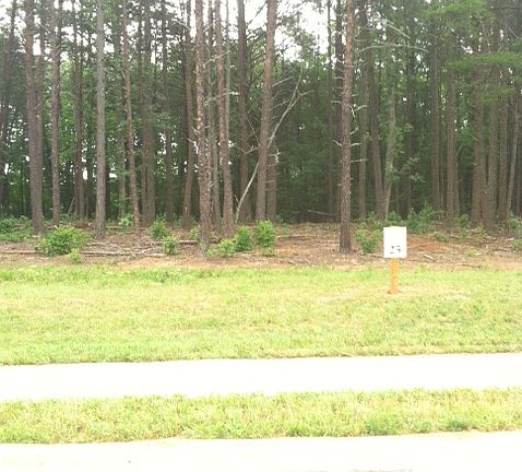 Lot 25 w/sm lake behind it