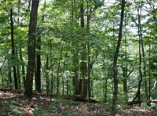 3394 Shadowick Mountain Rd LOT 19900, Jasper, GA 30143