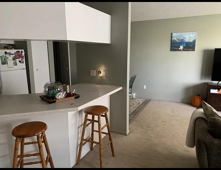 702 N Mill St #3 — Photo 4