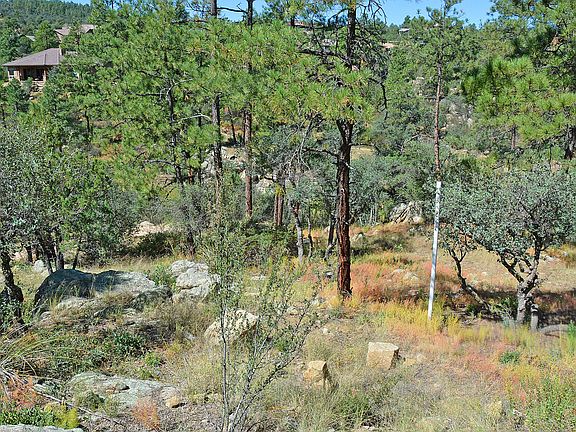 5th image of 521 Lodge Trail Cir