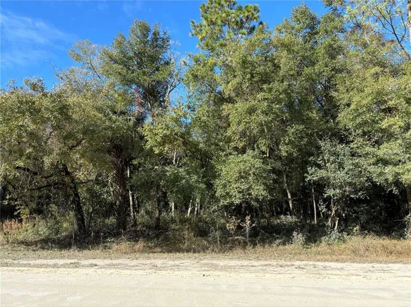 SE 225th Dr Lot 3, Hawthorne, FL 32640