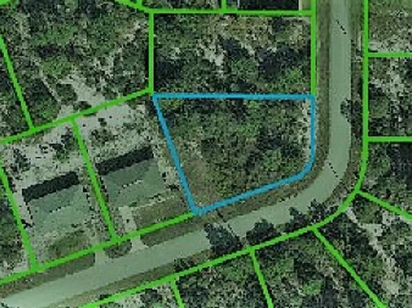 105 Bonnie Rd NW, Lake Placid, FL 33852