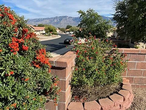 14720 N Palm Ridge Dr — Photo 9
