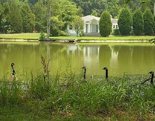 semi private stocked lake