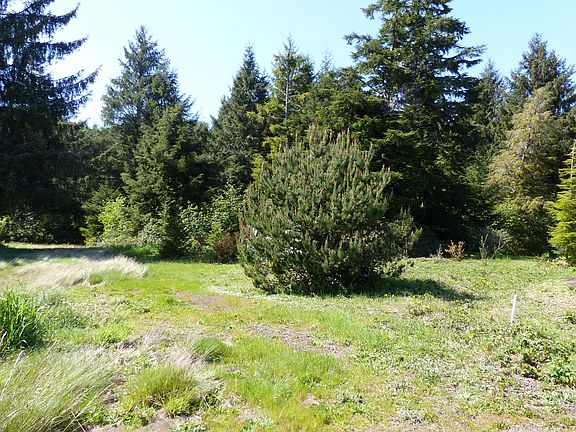3rd image of 7500 SE Virginia Pl