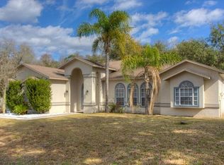 5324 Eagle Island Dr, Land O Lakes, FL 34639