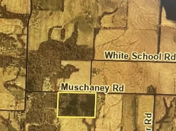 Muschaney Rd, Sedalia, MO 65301