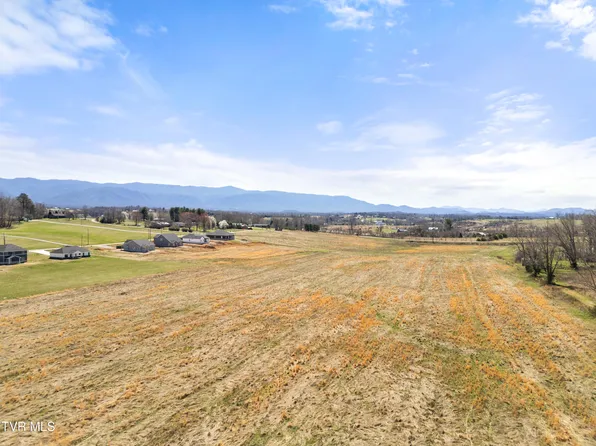 20 Greenwood Rd, Afton, TN 37616