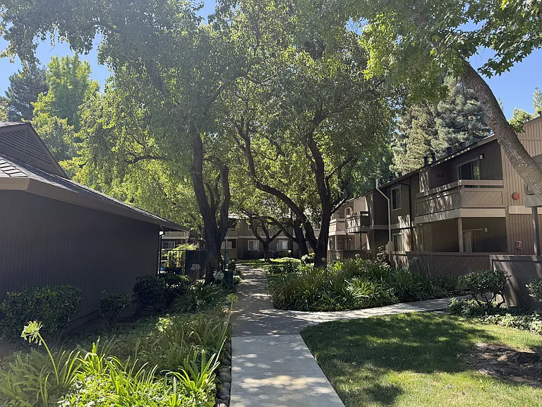 Shasta Terrace — Photo 21