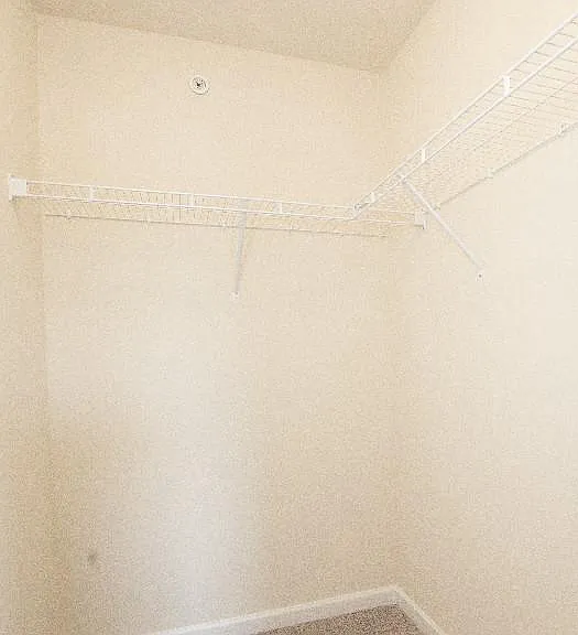 10 Skip Ln — Photo 27