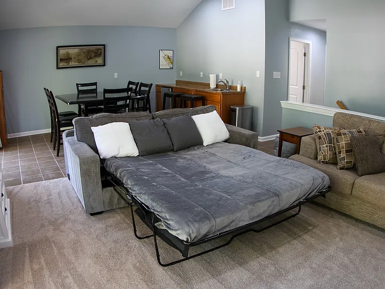 Sofa has a full-size pull out bed