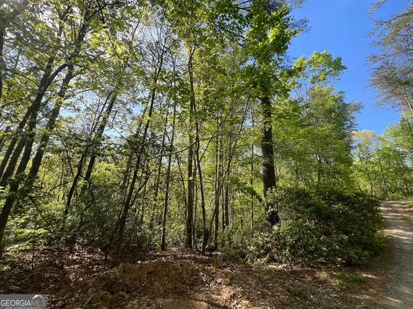 0 Sheila Dr, Ellijay, GA 30540
