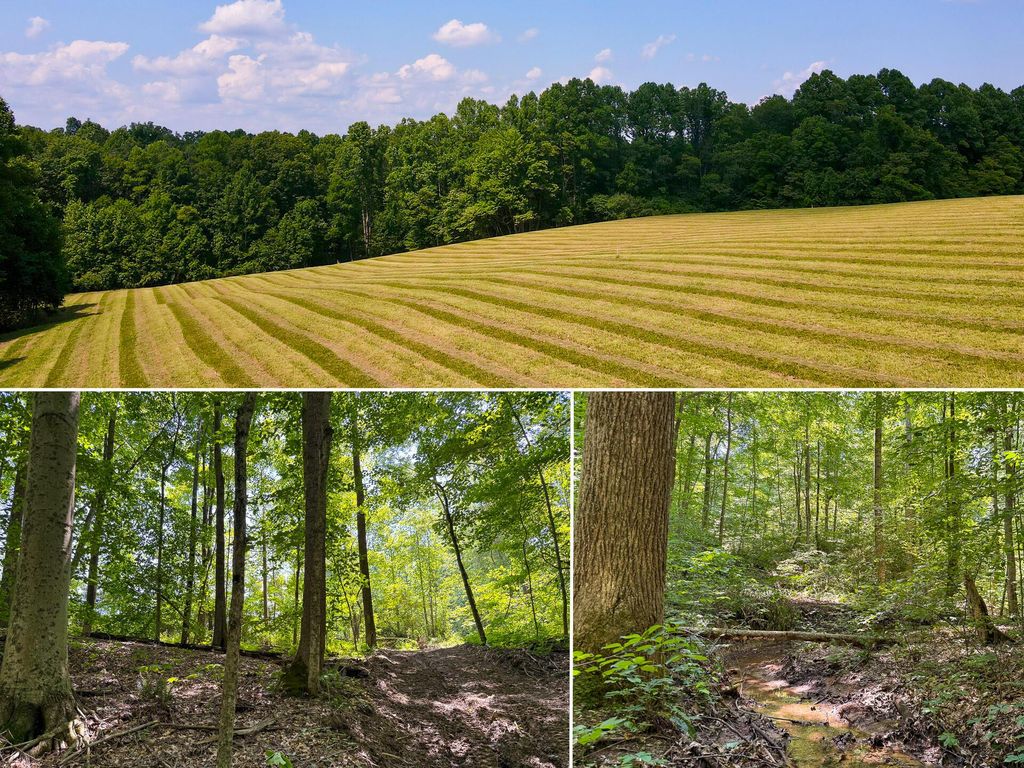 Real estate listing image