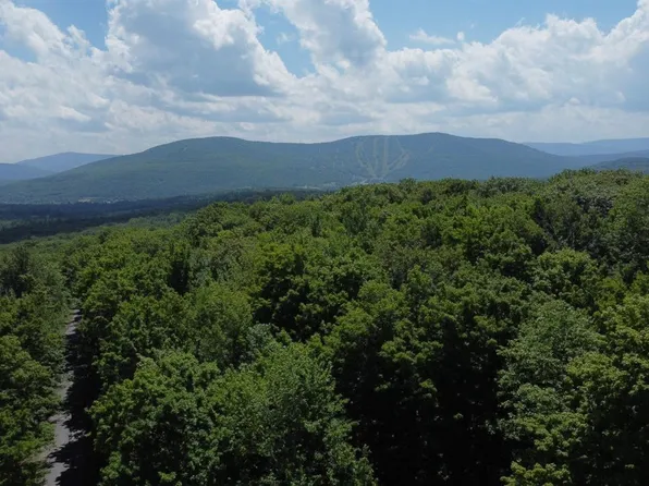 76 Off Begley Rd, Windham, NY 12496