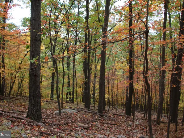 Sundown Rd, Gore, VA 22637