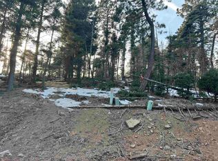 LOT 352 Vail Loop, Angel Fire, NM 87710