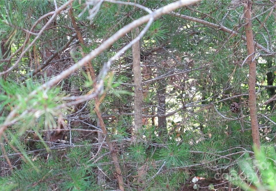2nd image of LOT 8 Bayleigh Dr