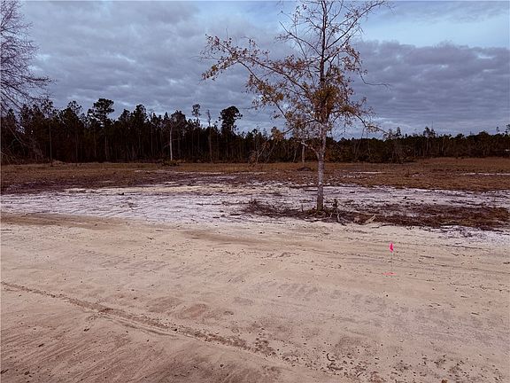 5th image of 10 Wiregrass Ln