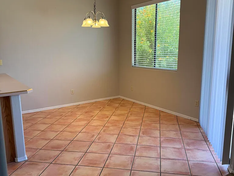3217 W Flowering Cactus Ct — Photo 3