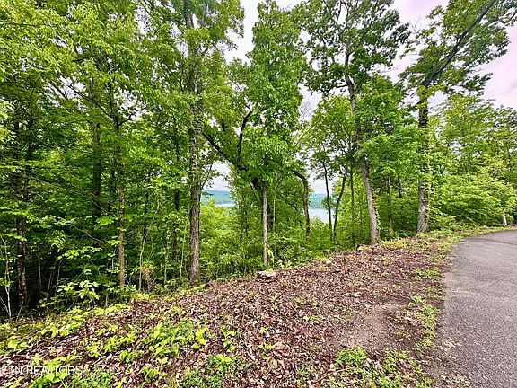 4th image of LOT 731 Russell Brothers Rd