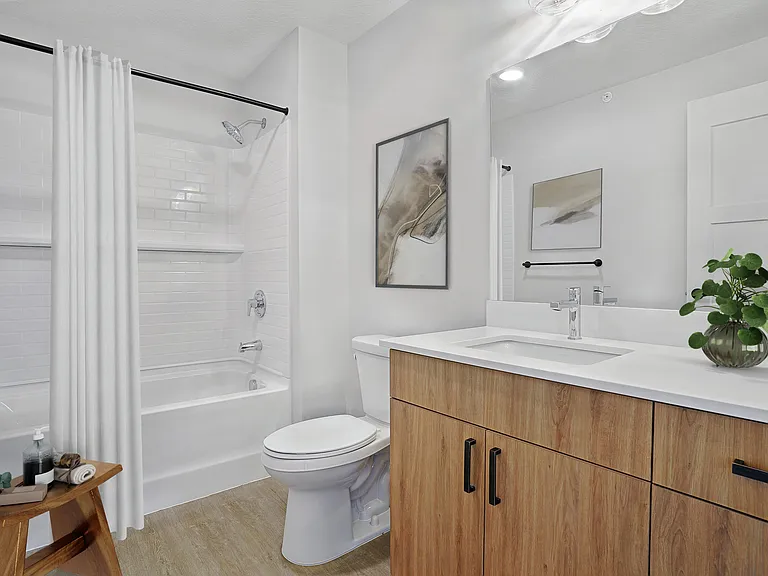 Virtually Staged Bathroom