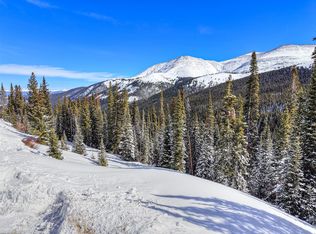 484 Carroll Ln, Breckenridge, CO 80424