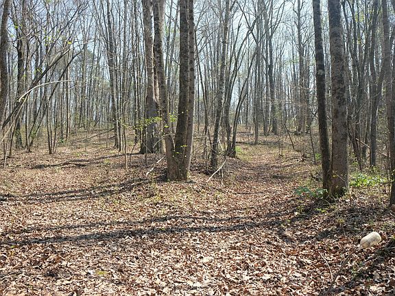 5th image of 3578 Wolf Creek Rd