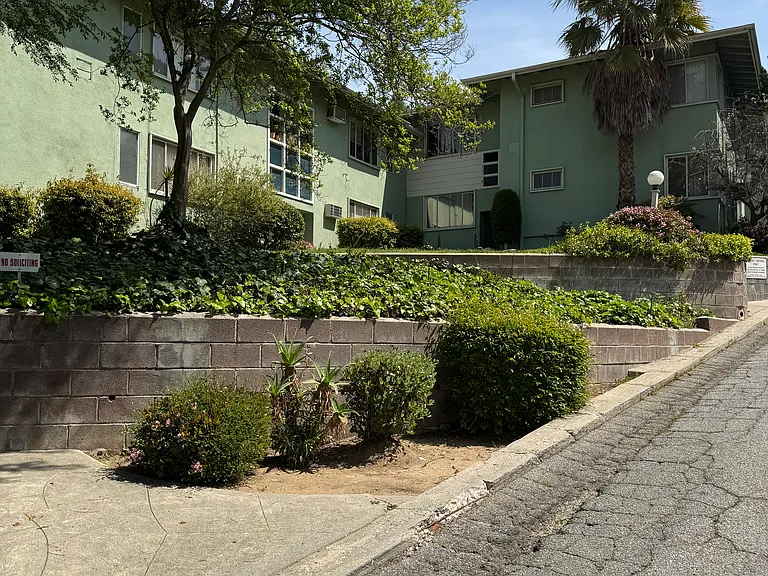 Verdugo Verde — Photo 7