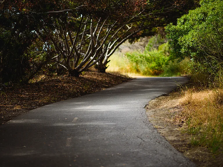 Avana Almaden — Photo 24