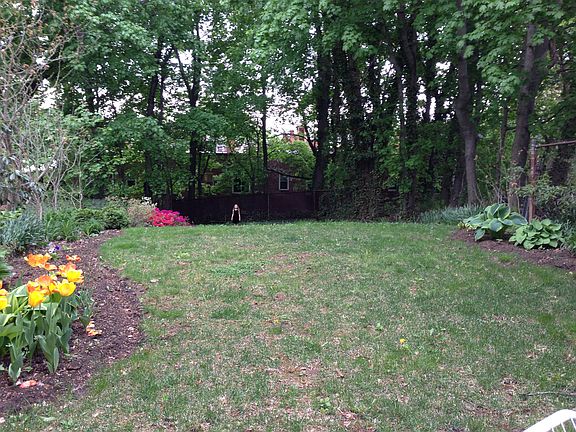 Back yard in green season