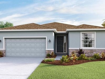 130 Bright Ibis Ave, Apollo Beach, FL, 33572