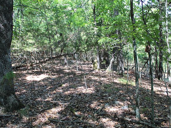 3rd image of 0 Lakeshore Rd