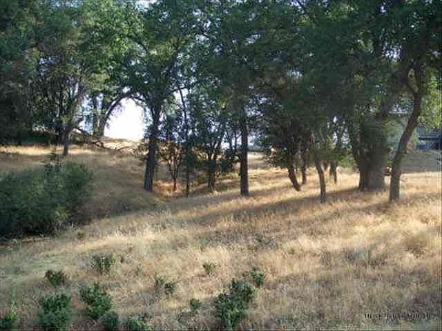 1st image of 6-231 Ferretti Ct
