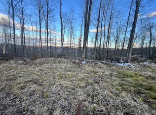 0 Fox Rd LOT WP001, Apalachin, NY 13732