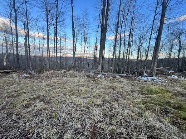 0 Fox Rd LOT WP001, Apalachin, NY 13732
