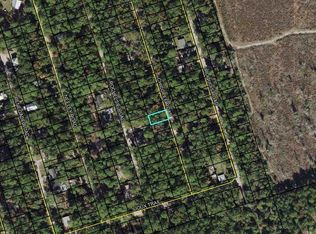 LOT 60 Chicopee Rd, Crawfordville, FL 32327