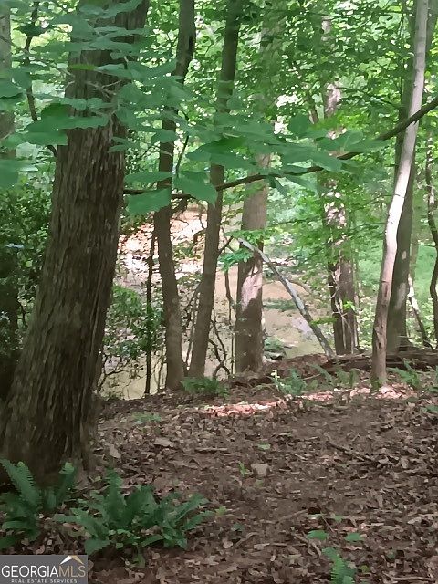 1st image of 0 Pulliam Mill Rd