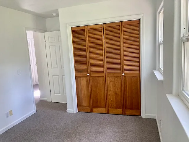 17346 Excelsior Ditch Camp Rd — Photo 17
