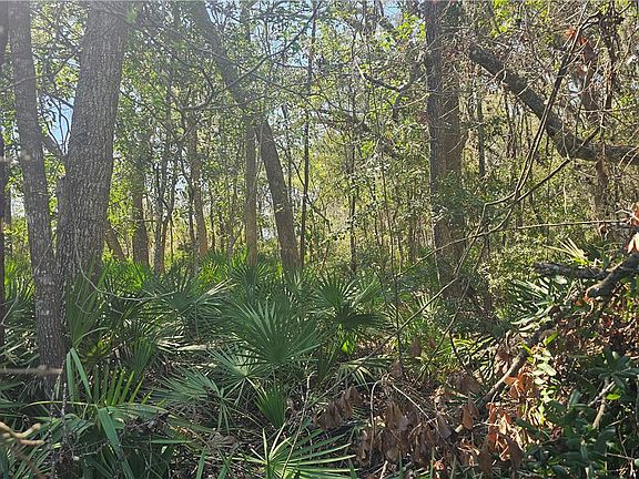 5th image of 304 Burford Rd