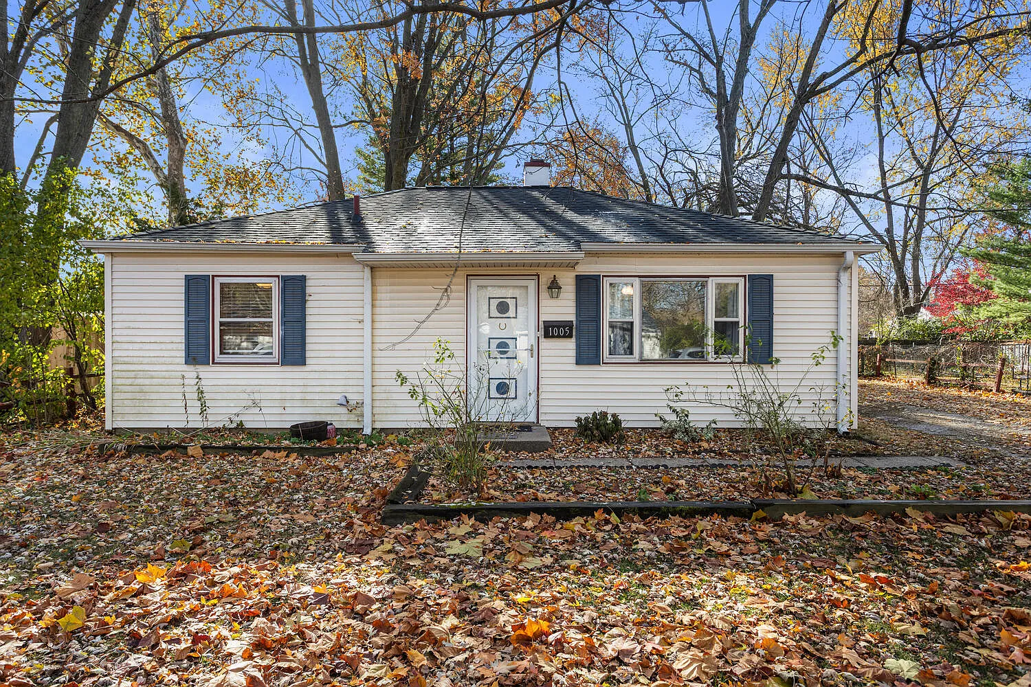 1005 E Delaware Ave photo 1