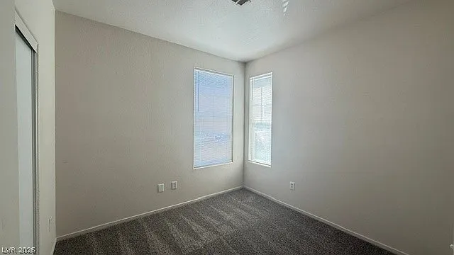 2404 Plaid Cactus Ct — Photo 13