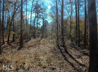 256 Roy Rd, Sharpsburg, GA 30277