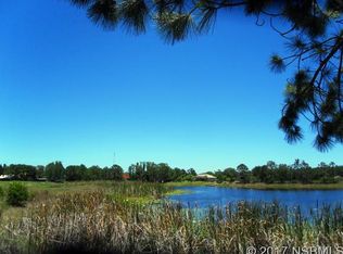 2645 Cone Lake Dr, New Smyrna Beach, FL 32168