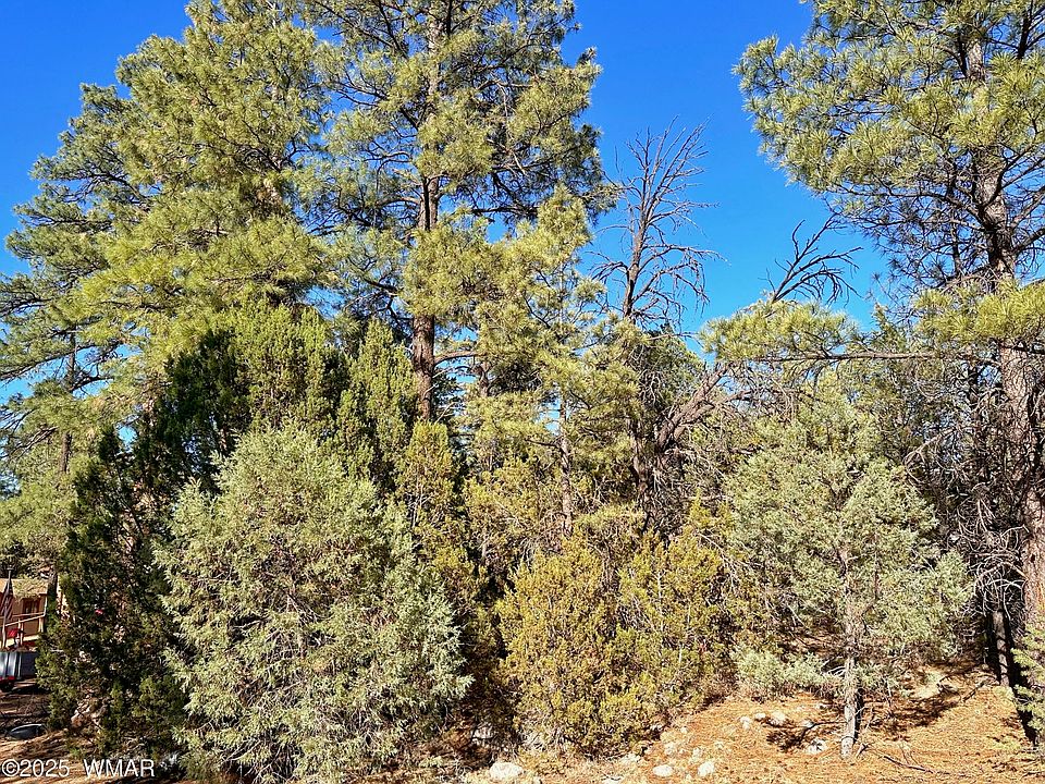 2nd image of 3377 Mogollon Dr
