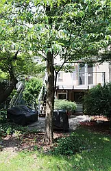 Rented by Corcoran