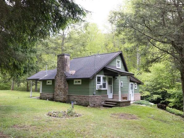 1308 Pleasure Valley Rd, Belington, WV 26283