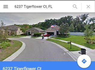 6237 Tigerflower Ct, Land O Lakes, FL 34639